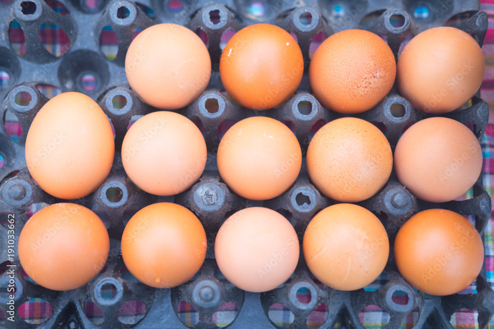 Fresh chicken eggs Fresh chicken eggs