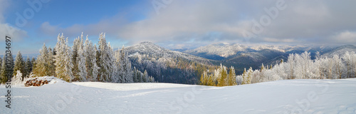 Panoramic view of Carpathian mountains in winter season