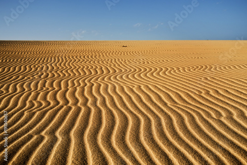 sand dunes of Corralejo in Fuerteventura, Spain