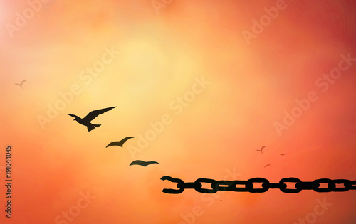 International human rights day concept: Silhouette of bird flying and broken chains