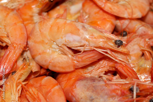 Shrimp - food