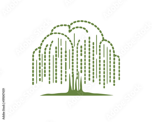 Willow Tree