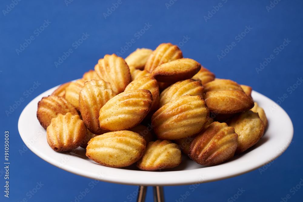 Homemade freshly baked cookies with walnuts Homemade freshly baked cookies with walnuts