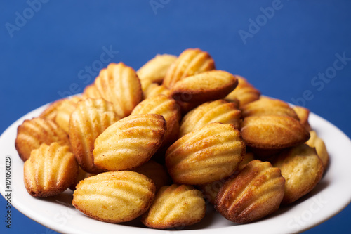 Homemade freshly baked cookies with walnuts