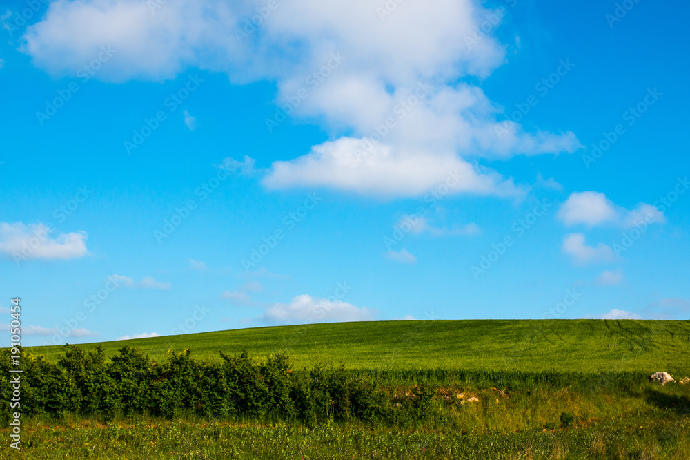 Rural landscape with green cultivations and blue sky, south italy