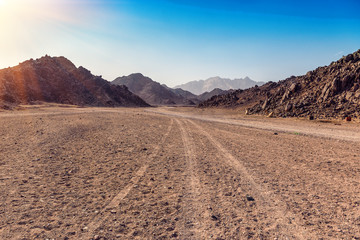 Poster Woestijnlandschap Arabische woestijn in Egypte  © Volodymyr Shevchuk