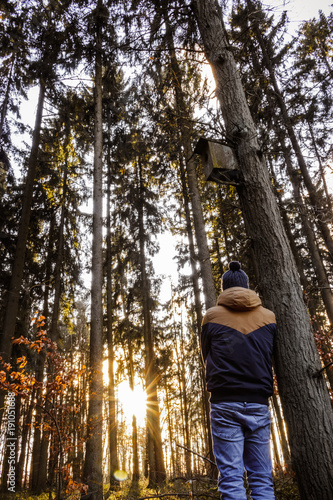 Mann, Wald, Herbst, Farben, Bäume