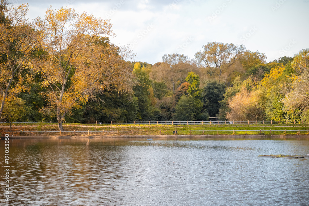 Pond side walking path at Hampstead Heath in London Pond side walking path at Hampstead Heath in London