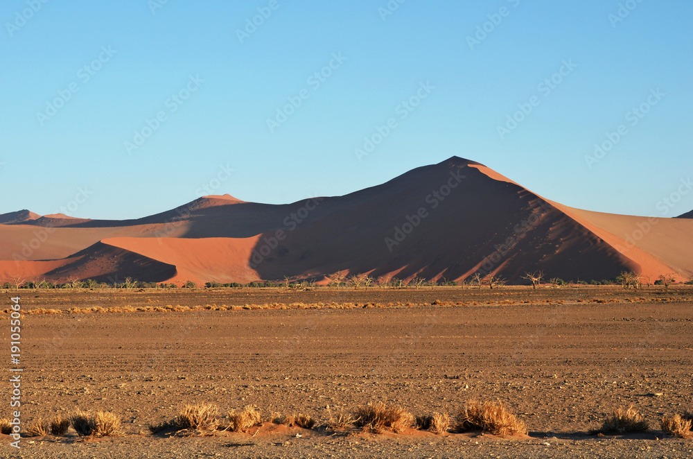 Sossusvlei, Namib Naukluft National Park, Namibia Sossusvlei, Namib Naukluft National Park, Namibia