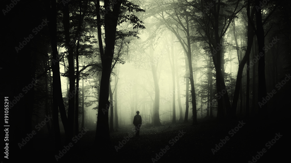 Wunschmotiv: man silhouette wandering in forest at night, dark scary surreal landscape #191055291