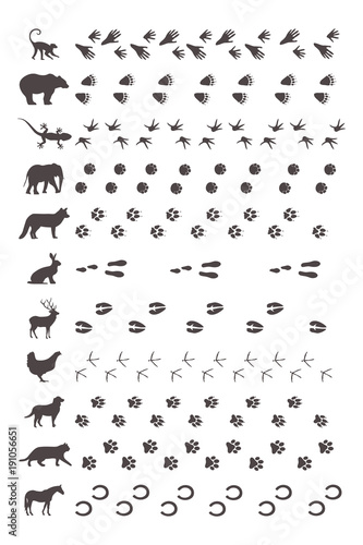 Tierspuren mit Silhouette