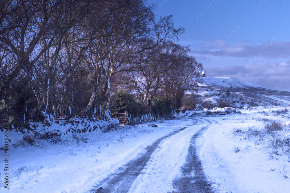 Snow and winter path walk