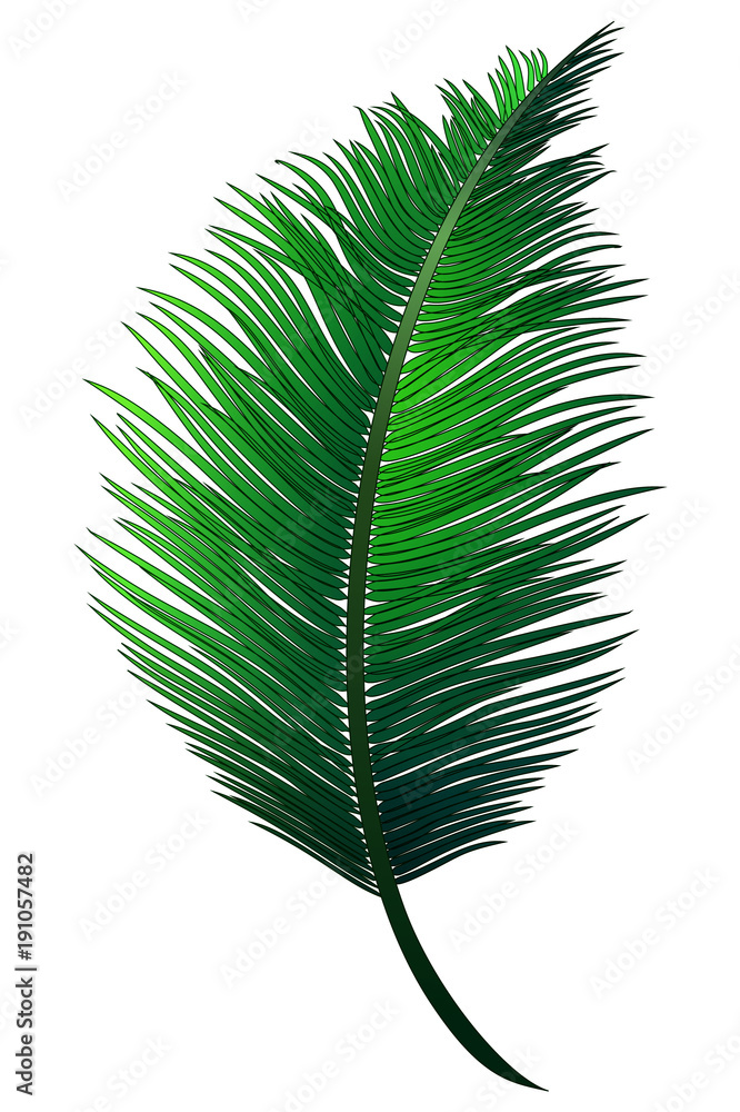 Obraz premium Realistic green branch of tropical coconut palm