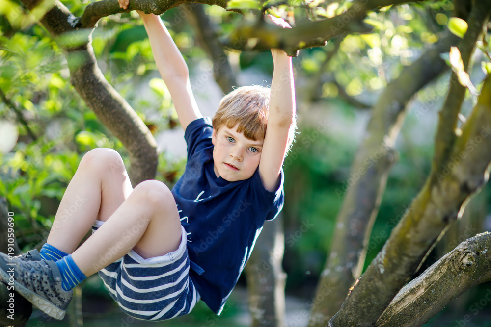 Little blond kid boy of 5 years climbing in tree in summer.