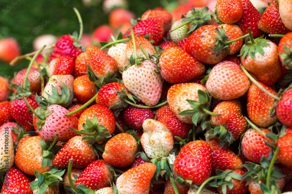 Strawberry red texture group background. Strawberry red texture group background.