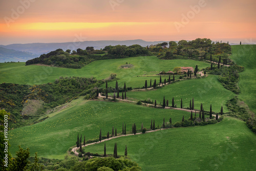 Tuscany, rural sunset landscape. Countryside farm, cypresses trees, green field,Italy, Europe.