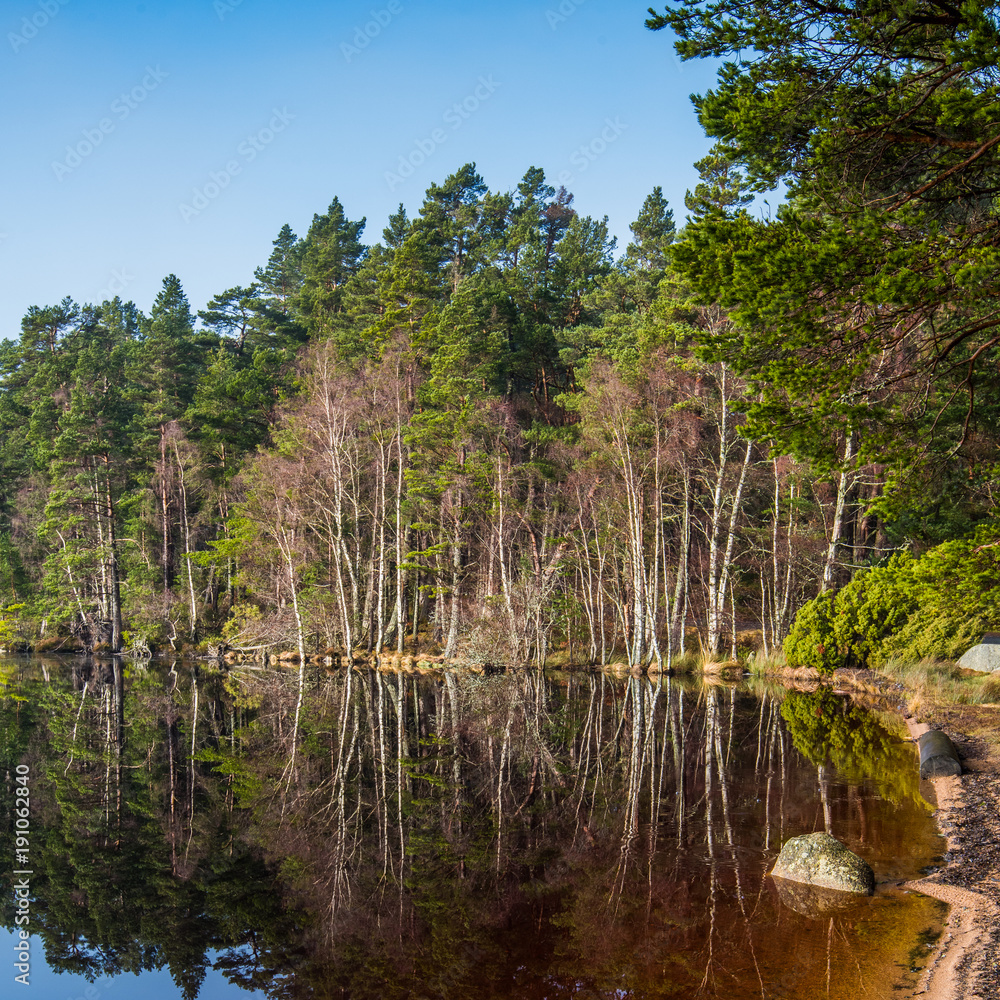 Reflections in Loch Garten