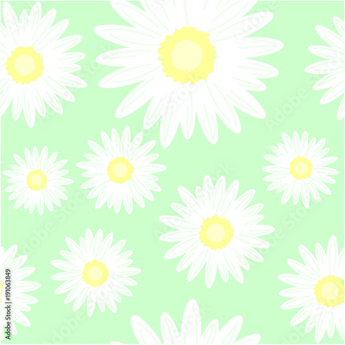 Seamless background with daisy flowers. Vector graphic illustration.