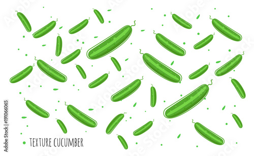 cucumbers on white background. Vector illustration