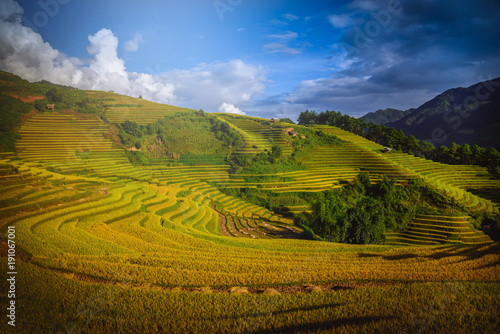 Rice fields on terraced with wooden pavilion at sunset in Mu Cang Chai, YenBai, Vietnam.