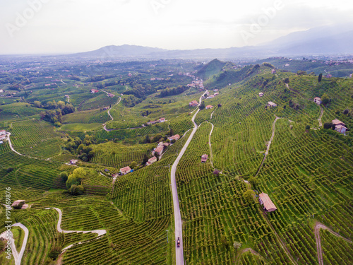 The Italian village from the heights of a bird's flight is seated with grapes. Italian village from above. photo