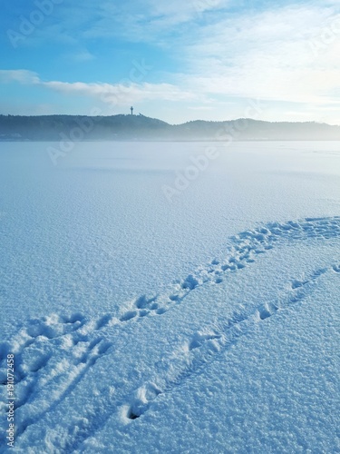 Sunny winterday in Finland photo