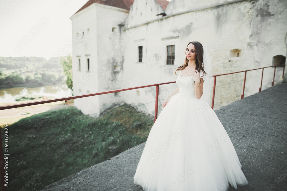 Beautiful luxury bride in elegant white dress Beautiful luxury bride in elegant white dress