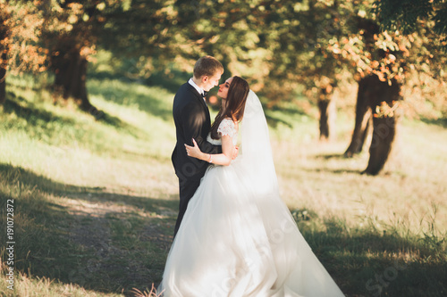 Romantic  fairytale  happy newlywed couple hugging and kissing in a park  trees in background