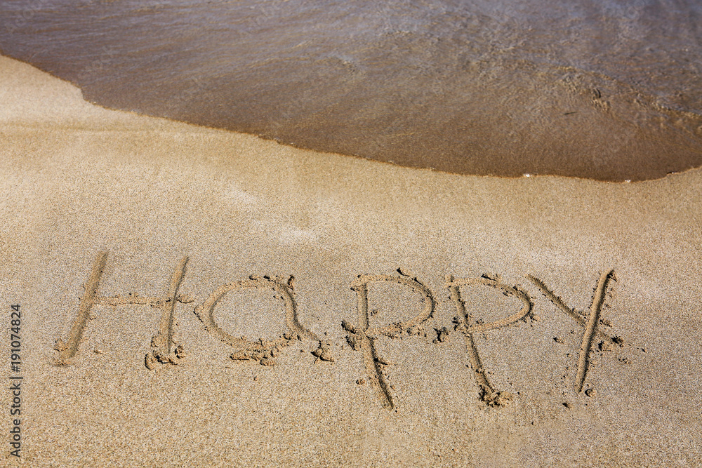 Fototapeta premium Tropical sea and coast with an Happy inscription.