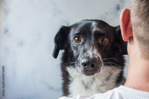 Dog looks out from behind the man's shoulder