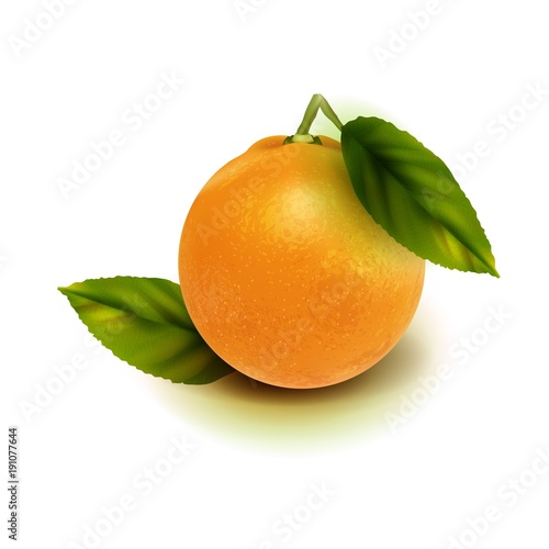 Realistic vector orange fruit isolate. Orange with leaves isolated on white.