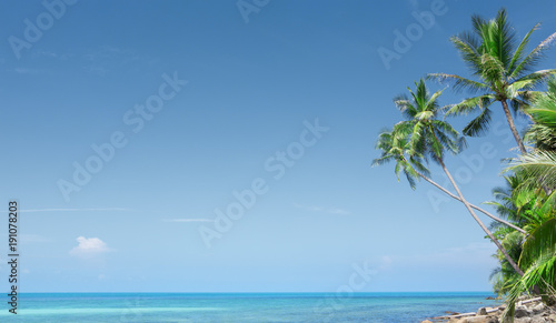 Fototapeta Naklejka Na Ścianę i Meble -  View of nice tropical beach with some palms