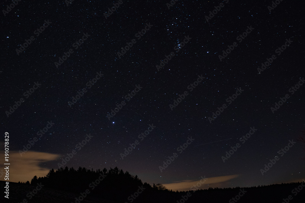 Sternenhimmel mit derSilhouette eines Waldes