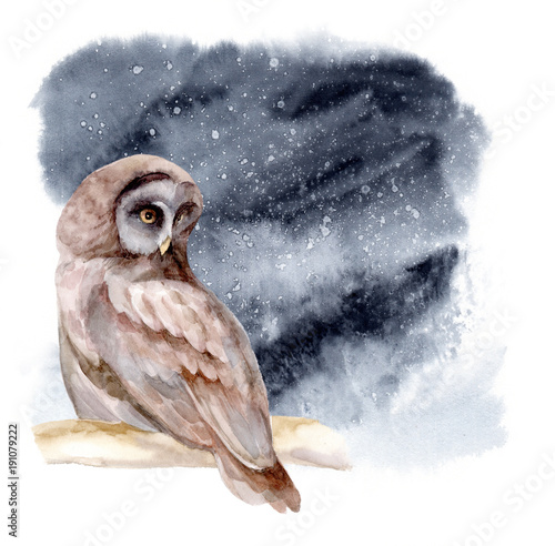 Watercolor illustration. The owl sits on a branch of tree. Night forest landscape.