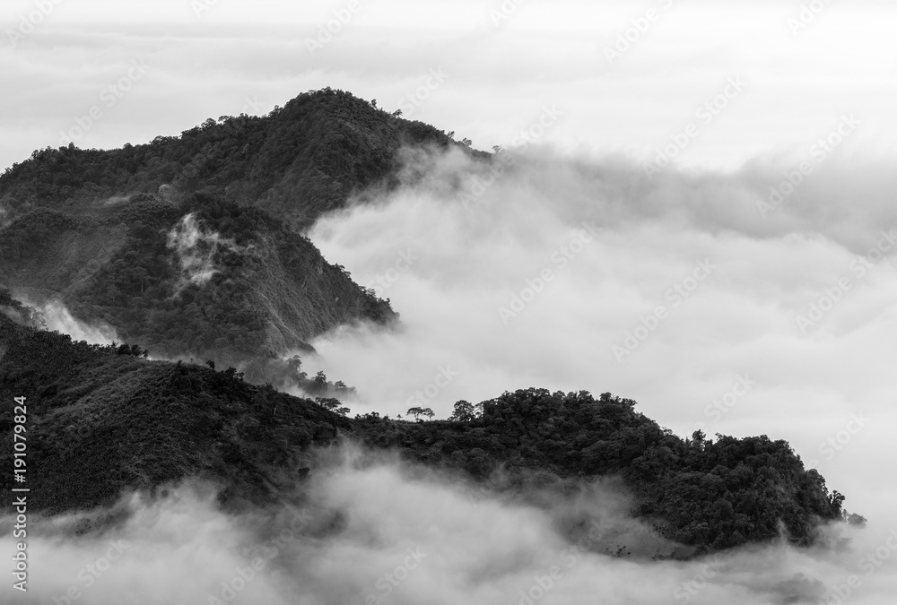 Detail shot from the Alishan Mountains covered in clouds.
Taken from Xiding viewpoint in Alishan.