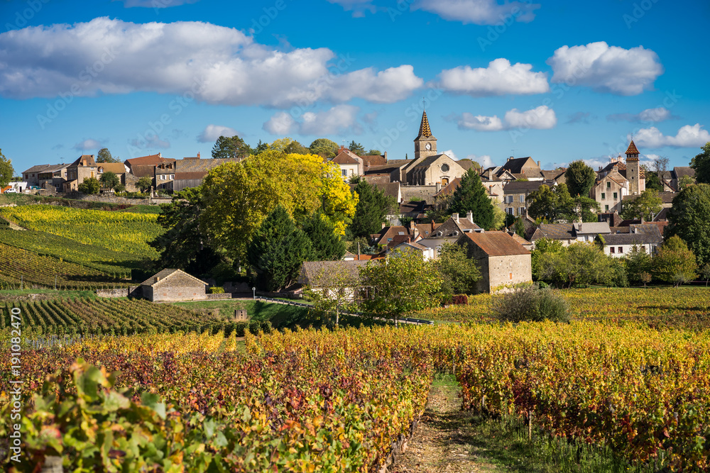 village de Bourgogne