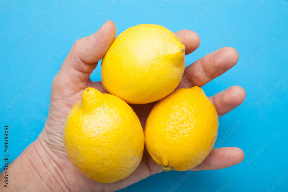 Three large lemons in the hand are isolated on a blue background. Three large lemons in the hand are isolated on a blue background.