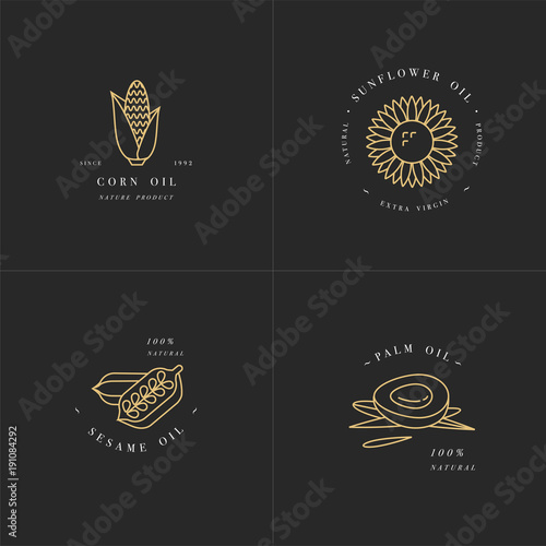 Vector design element and icon in linear style - rapeseed oil - healthy vegan food.