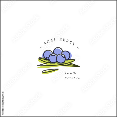 Vector design element and icon in linear style - acai berry - healthy eco food. Organic ingredient. Detox and weightloss supplements