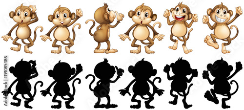 Monkeys and its silhouette in different posts