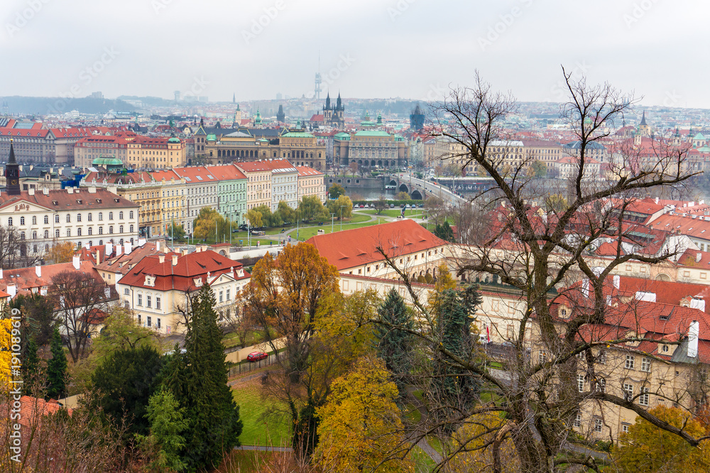 Prague panorama from Prague Hill with Prague Castle with tree skeleton and historical architecture. Concept of Europe travel, sightseeing and tourism.