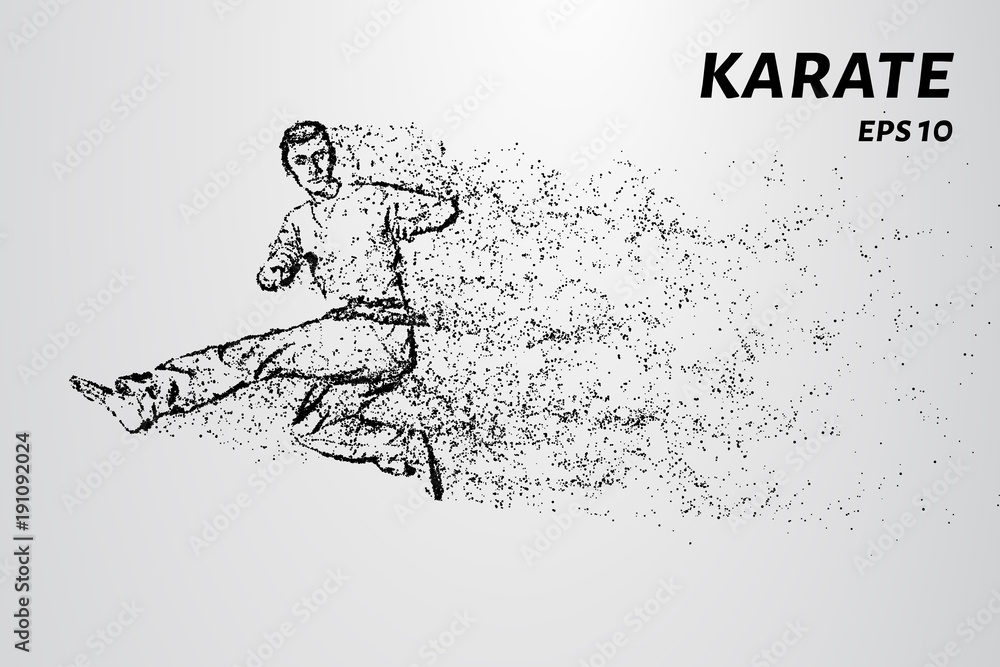Karate of particles. Karate man in a kimono kick leg