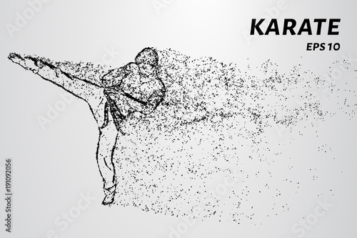 Karate of particles. Karate man in a kimono kick leg