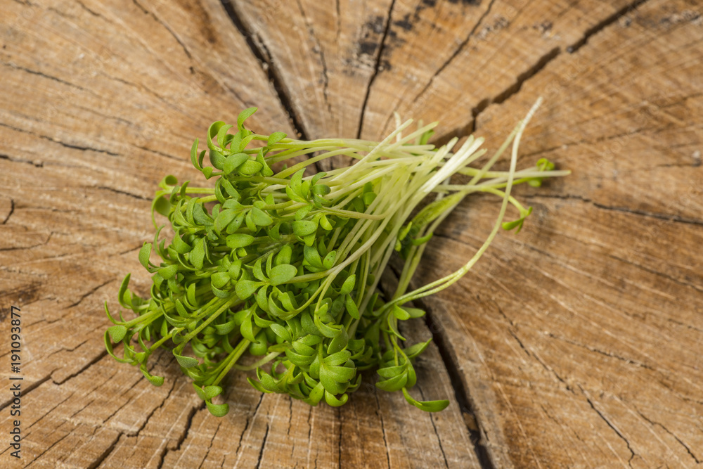 cress sprouts (Lepidium sativum) isolated on a wooden table cress sprouts (Lepidium sativum) isolated on a wooden table
