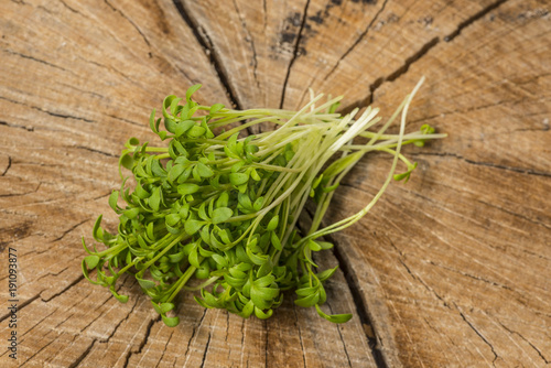 cress sprouts (Lepidium sativum) isolated on a wooden table