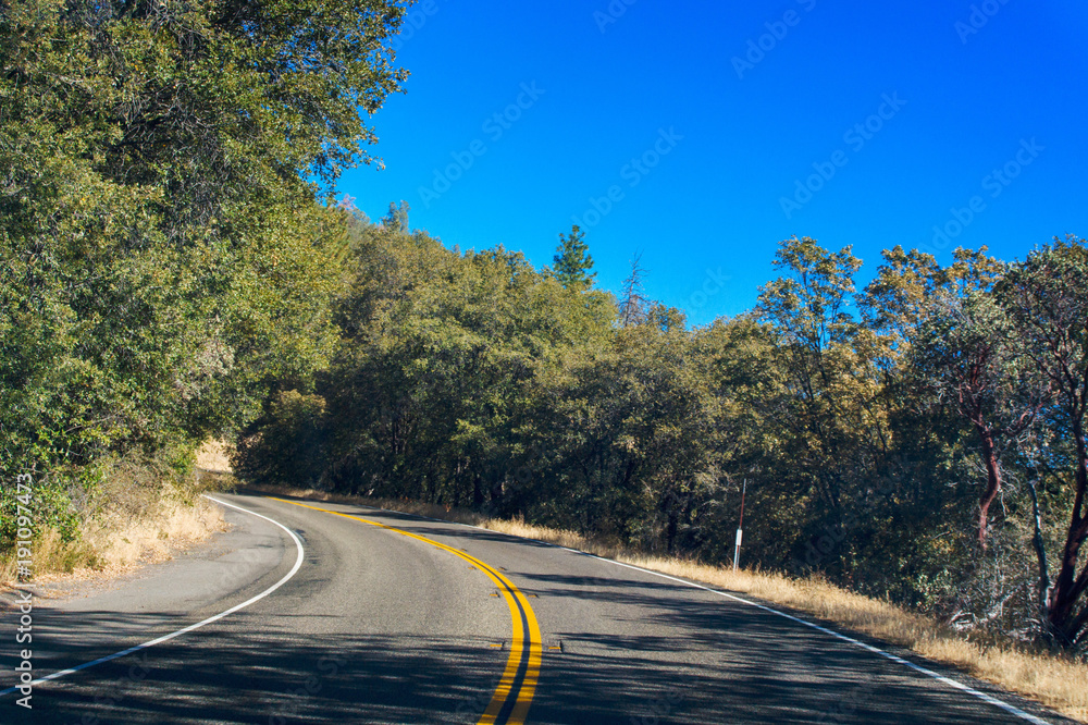 Yosemite National Park road turn with with a trees on the side Yosemite National Park road turn with with a trees on the side
