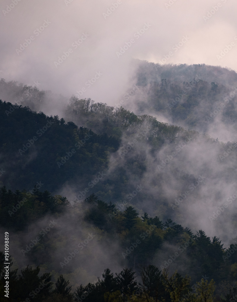 Smoky Mountain Ridges