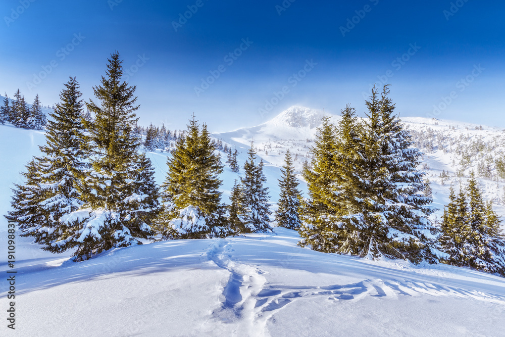 Beautiful winter landscape with spruce forest at the background of snow capped mountain peak in alpine mountains in Ukraine. Beautiful winter landscape with spruce forest at the background of snow capped mountain peak in alpine mountains in Ukraine.