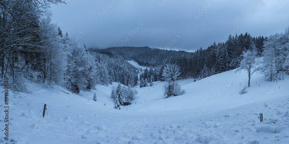 Germany, Snowy winter landscape of black forest valley extra large panorama Germany, Snowy winter landscape of black forest valley extra large panorama