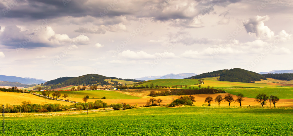 Spring green field and meadows on the hills panorama